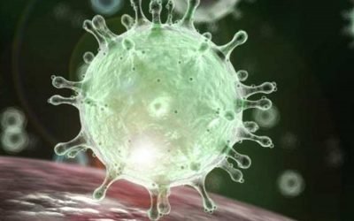 Coronavirus COVID-19